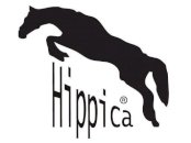 Hippica buty